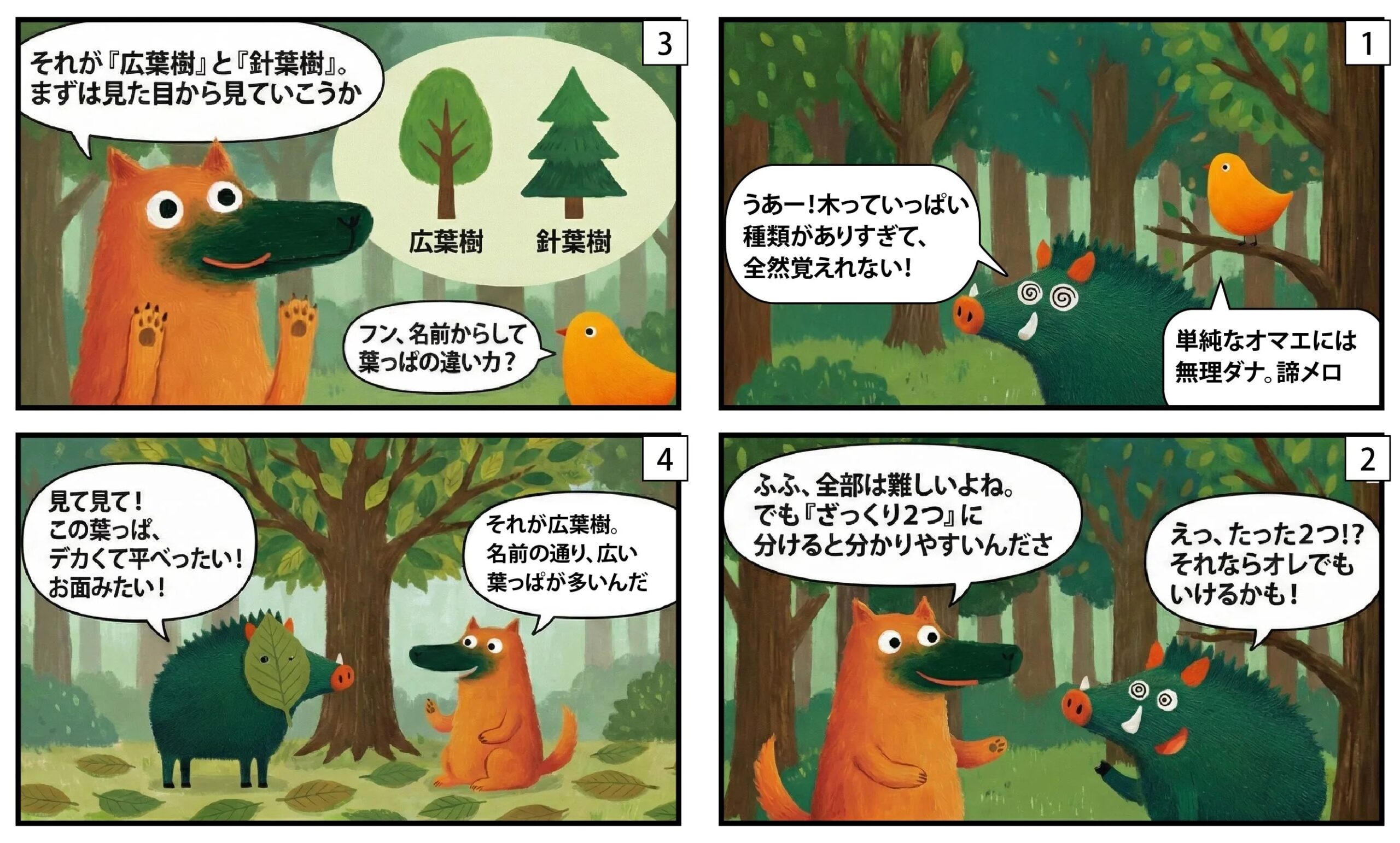 針葉樹と広葉樹漫画①|もくめディア