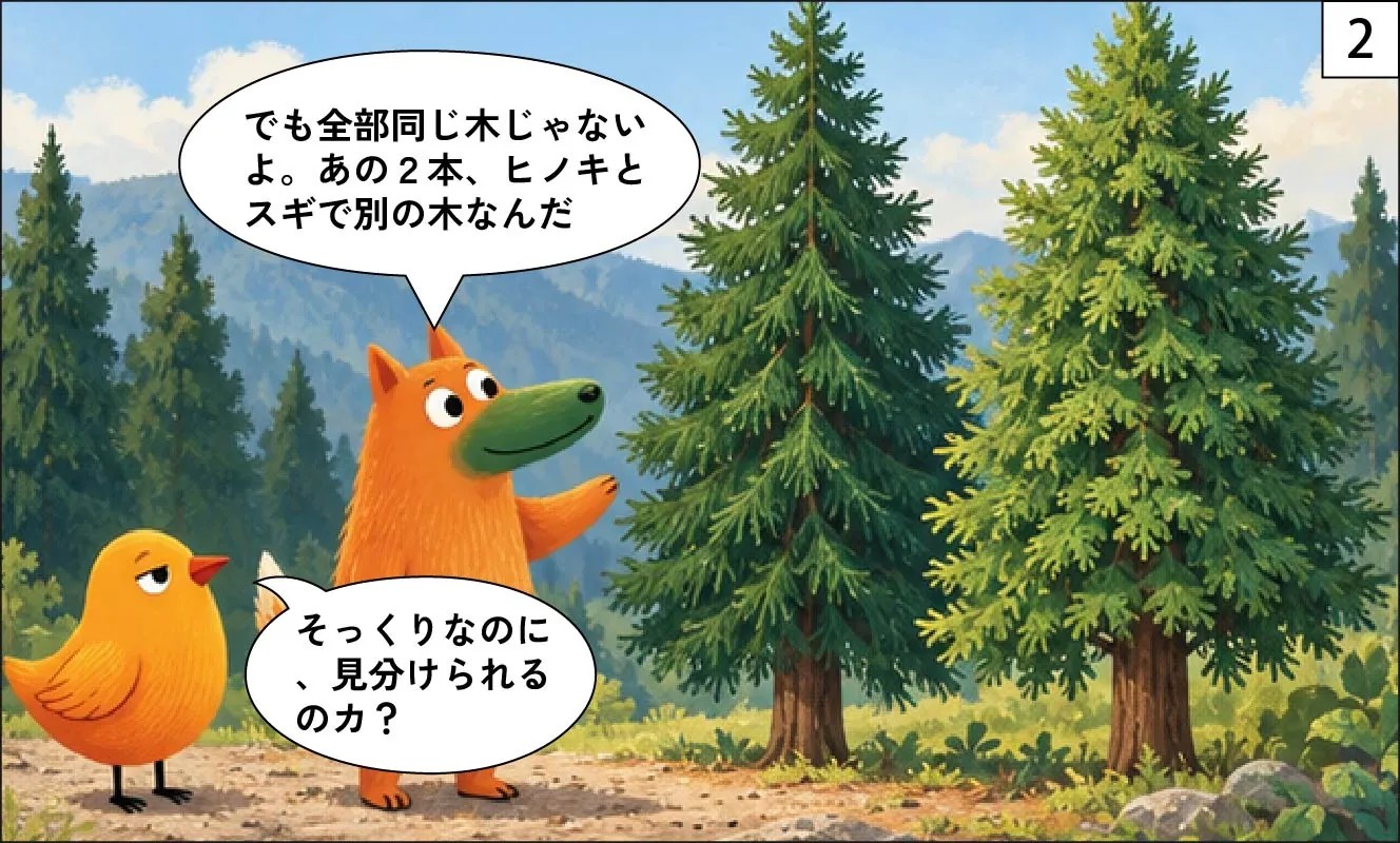 もくめディア|ヒノキとスギの見分け方-2