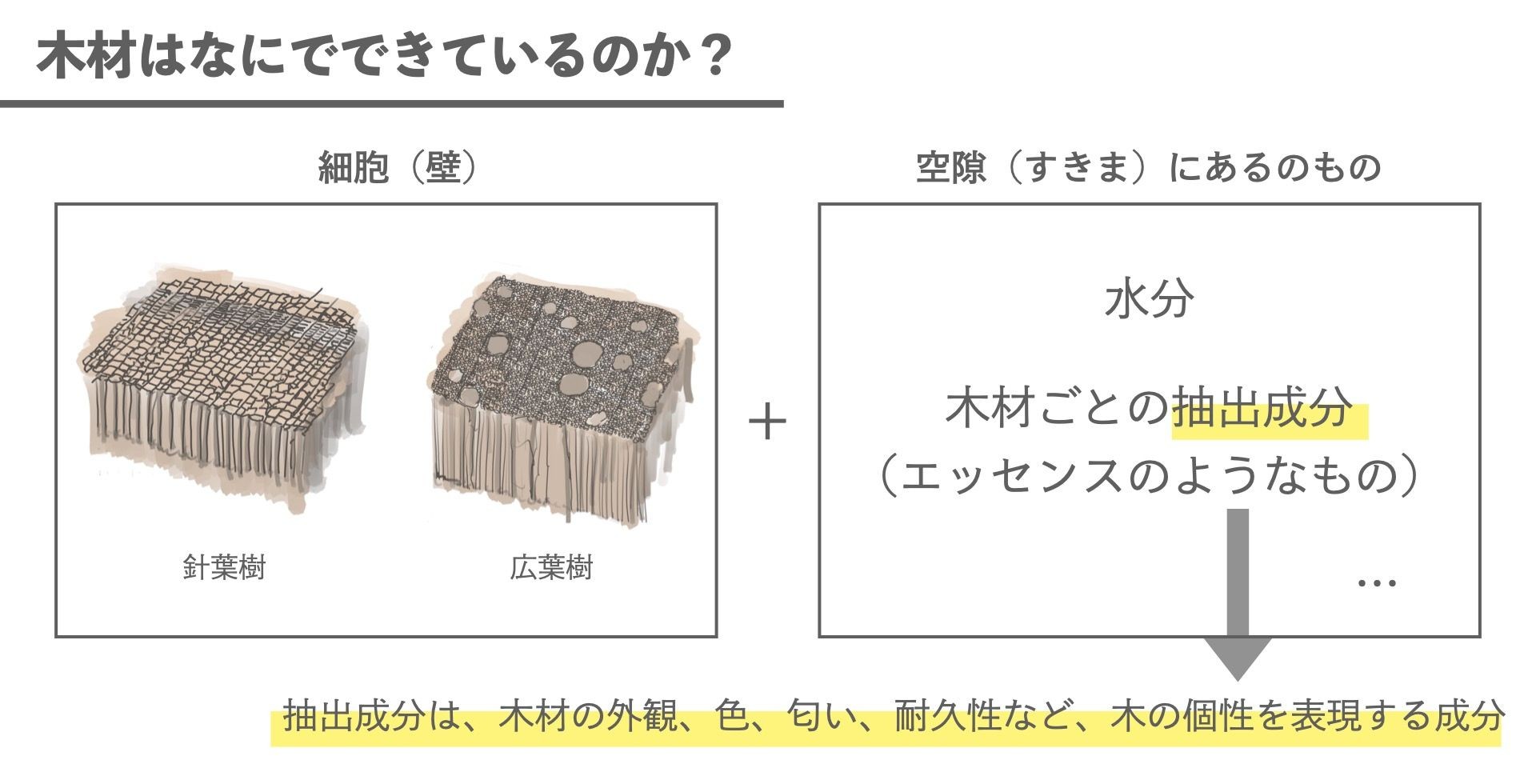 抽出成分概念図