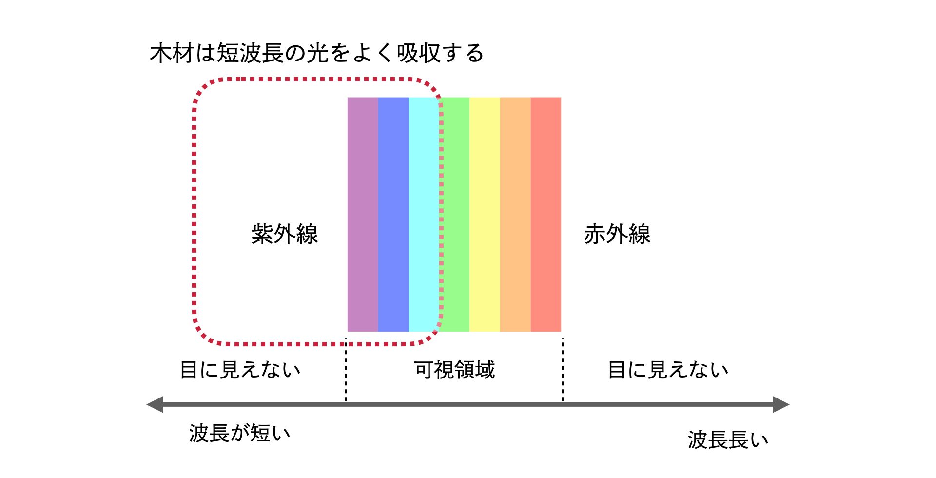 木材の光の吸収について