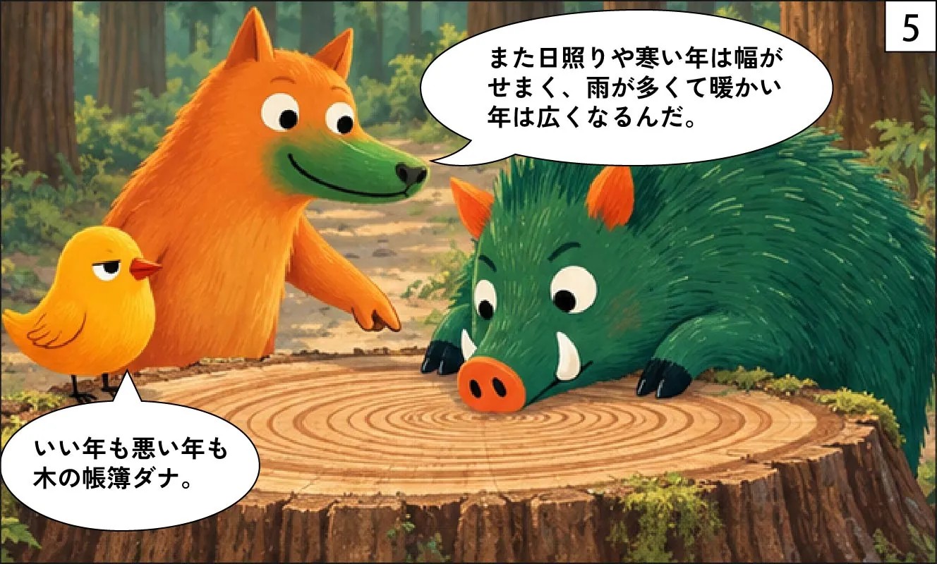 もくめディア|木の年輪はなぜできる?-5