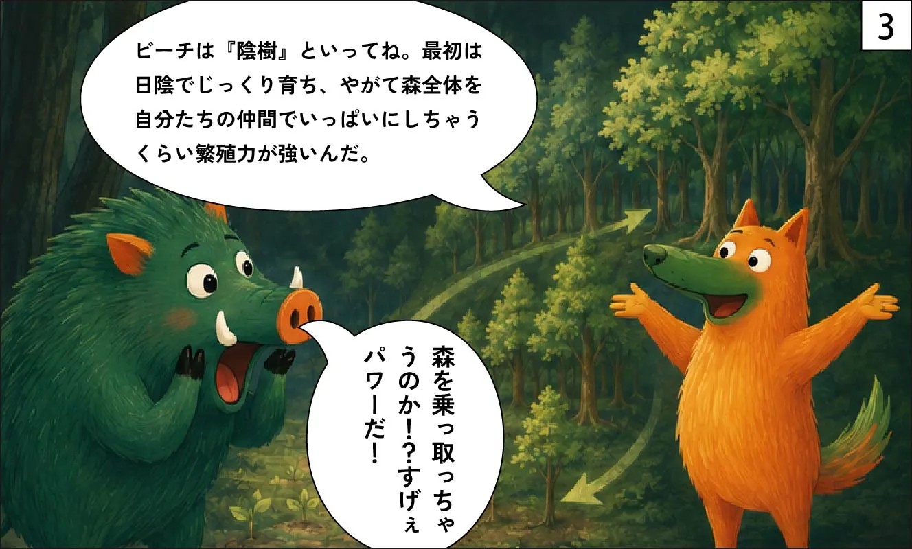 もくめディア|ビーチ材漫画3