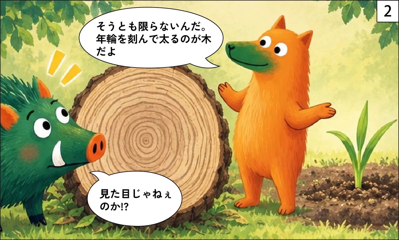 もくめディア|草と木のちがい-2