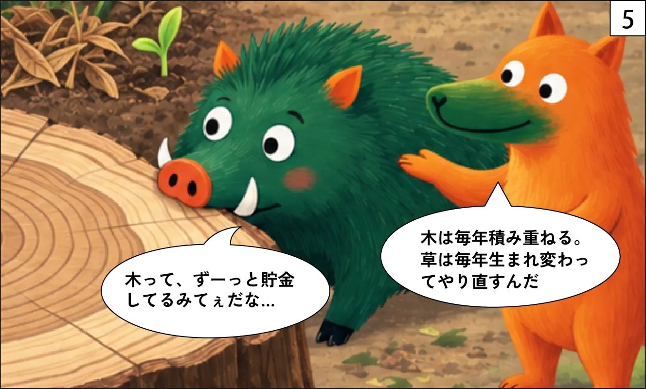 もくめディア|草と木のちがい-5