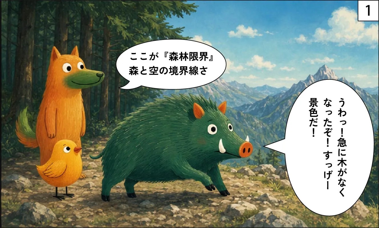 もくめディア|森林限界1