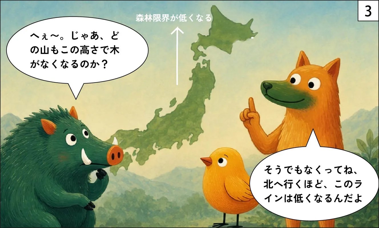 もくめディア|森林限界3