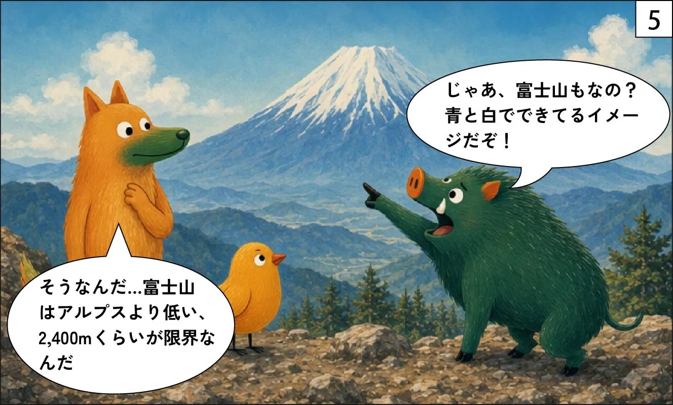 もくめディア|森林限界5