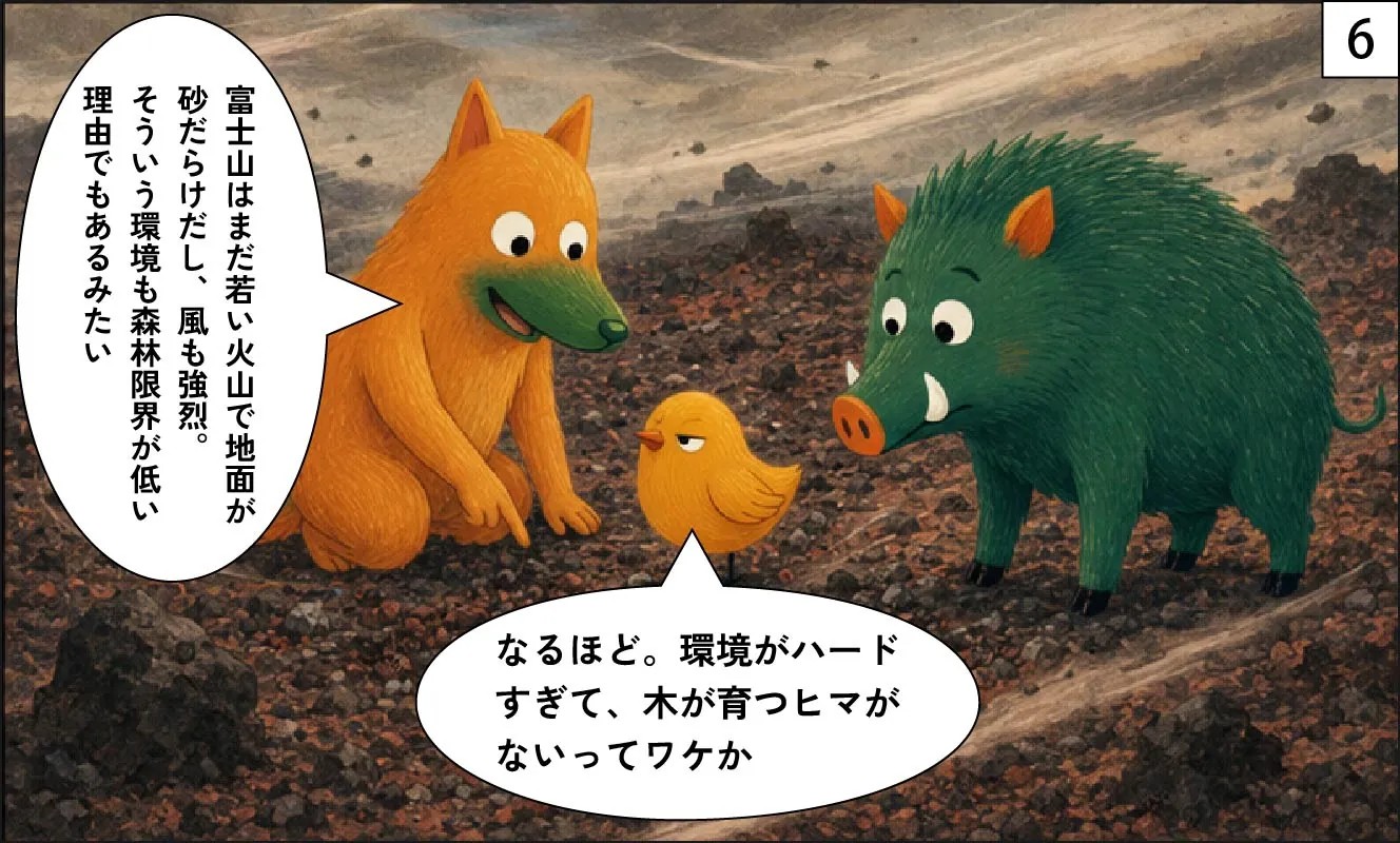 もくめディア|森林限界6