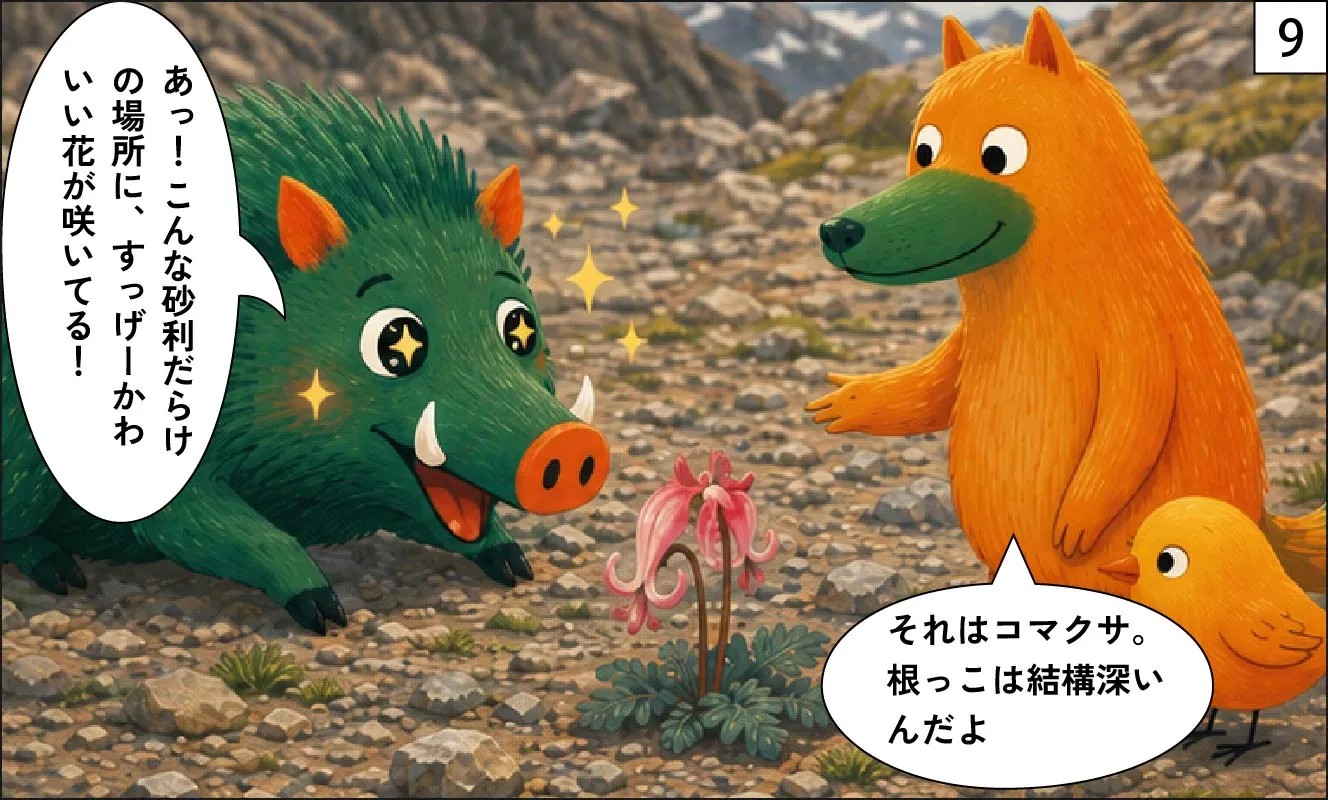 もくめディア|森林限界9