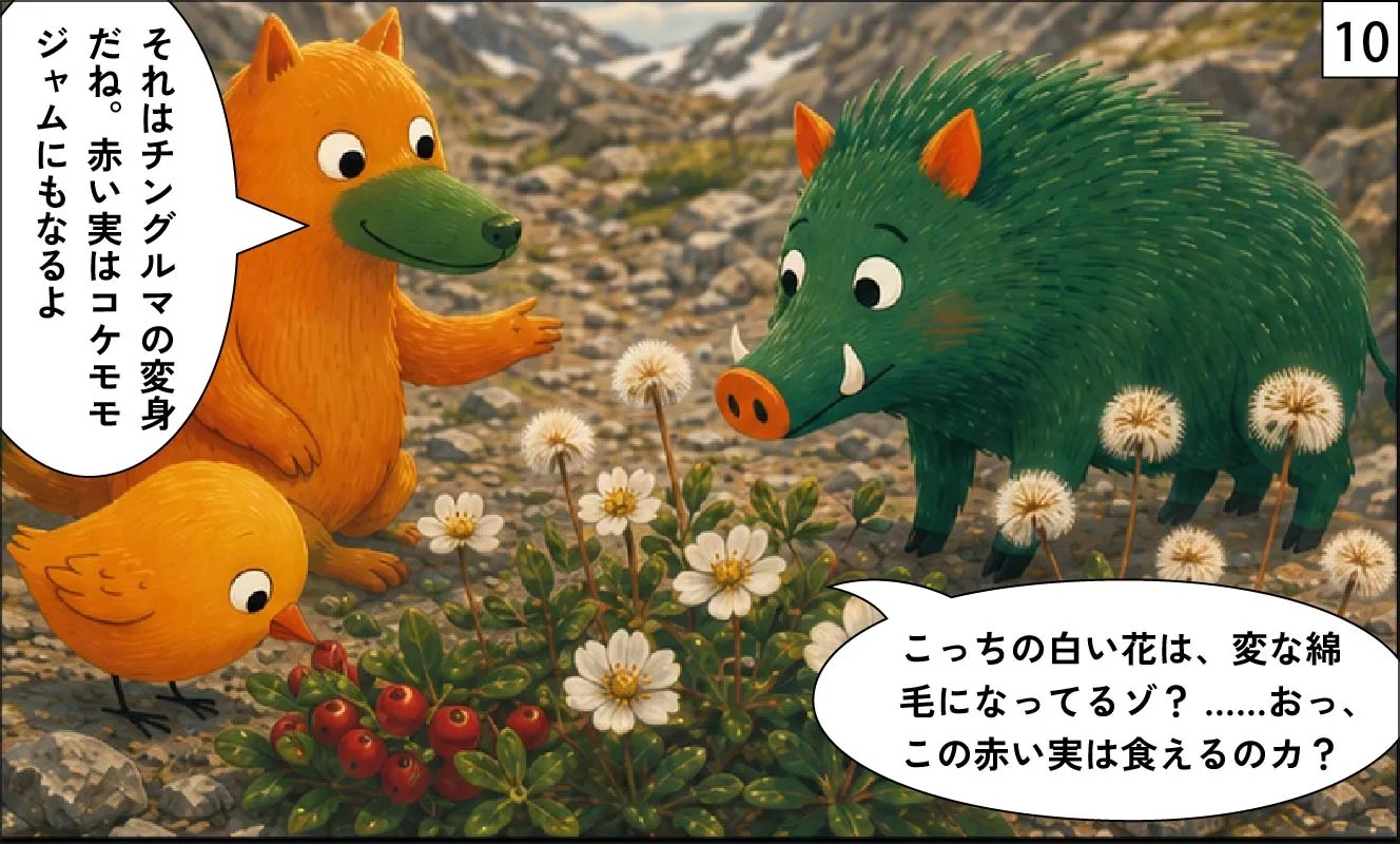 もくめディア|森林限界10