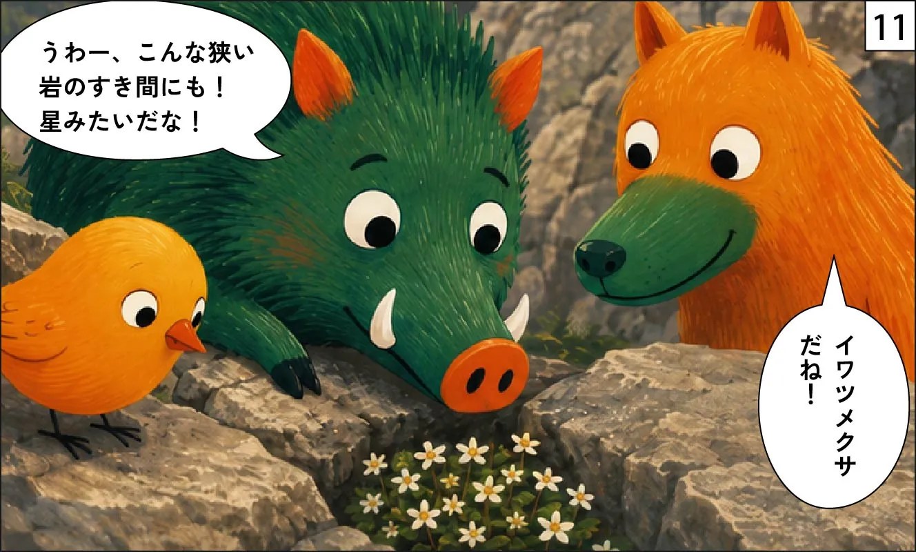 もくめディア|森林限界11