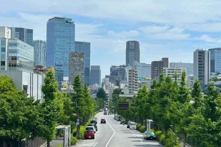 都市部の街路樹イメージ