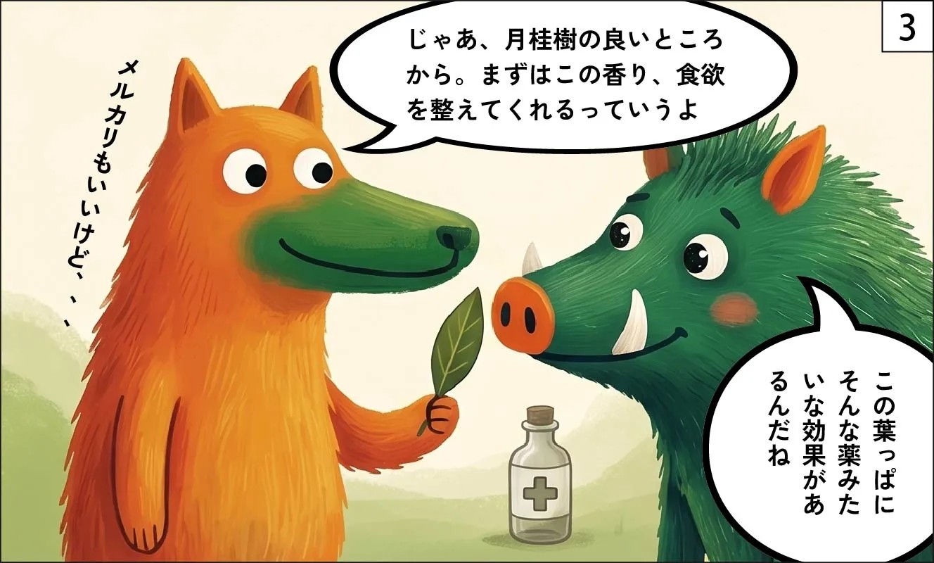 もくめディア|月桂樹(ローリエ)漫画3