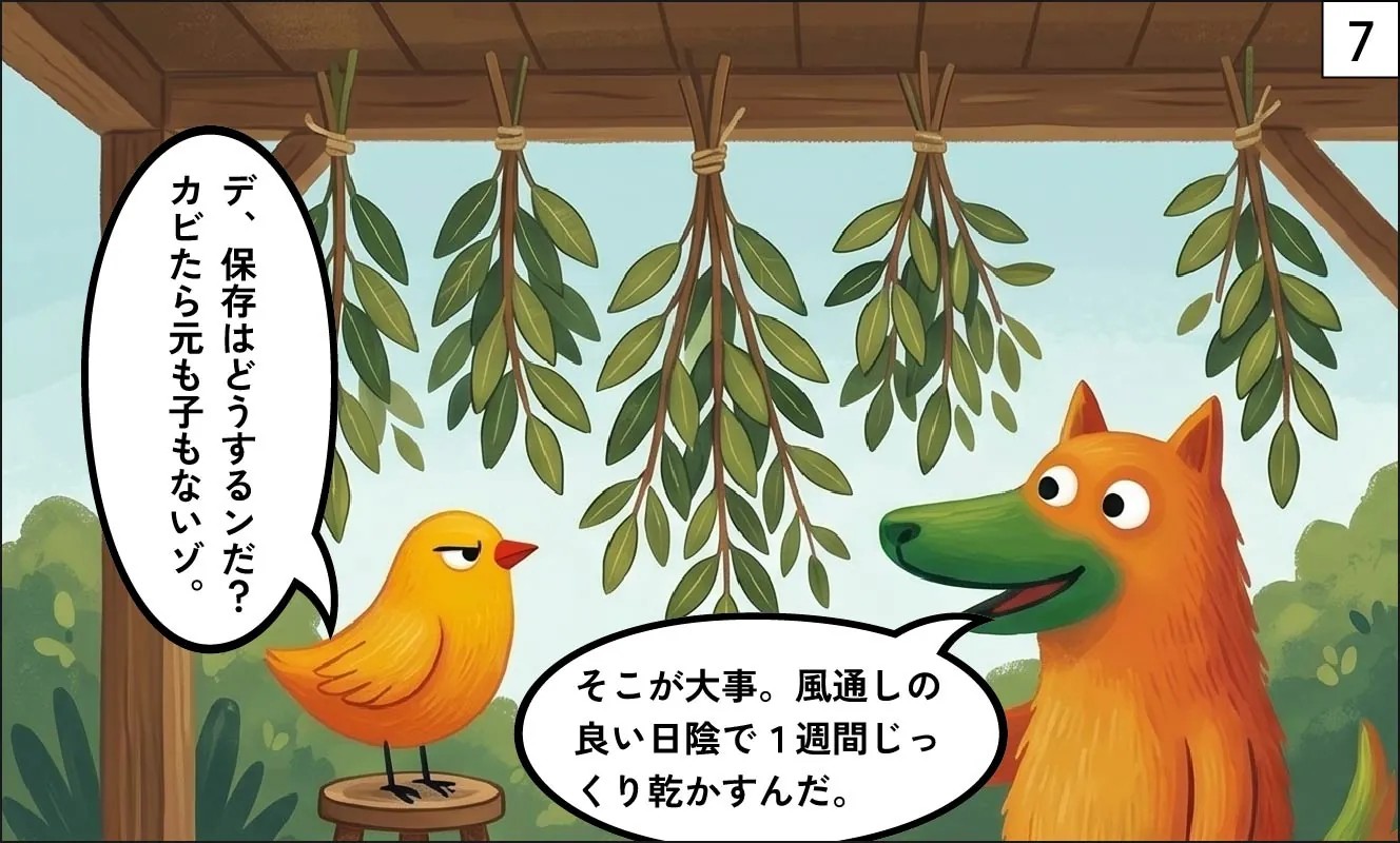 もくめディア|月桂樹(ローリエ)漫画7