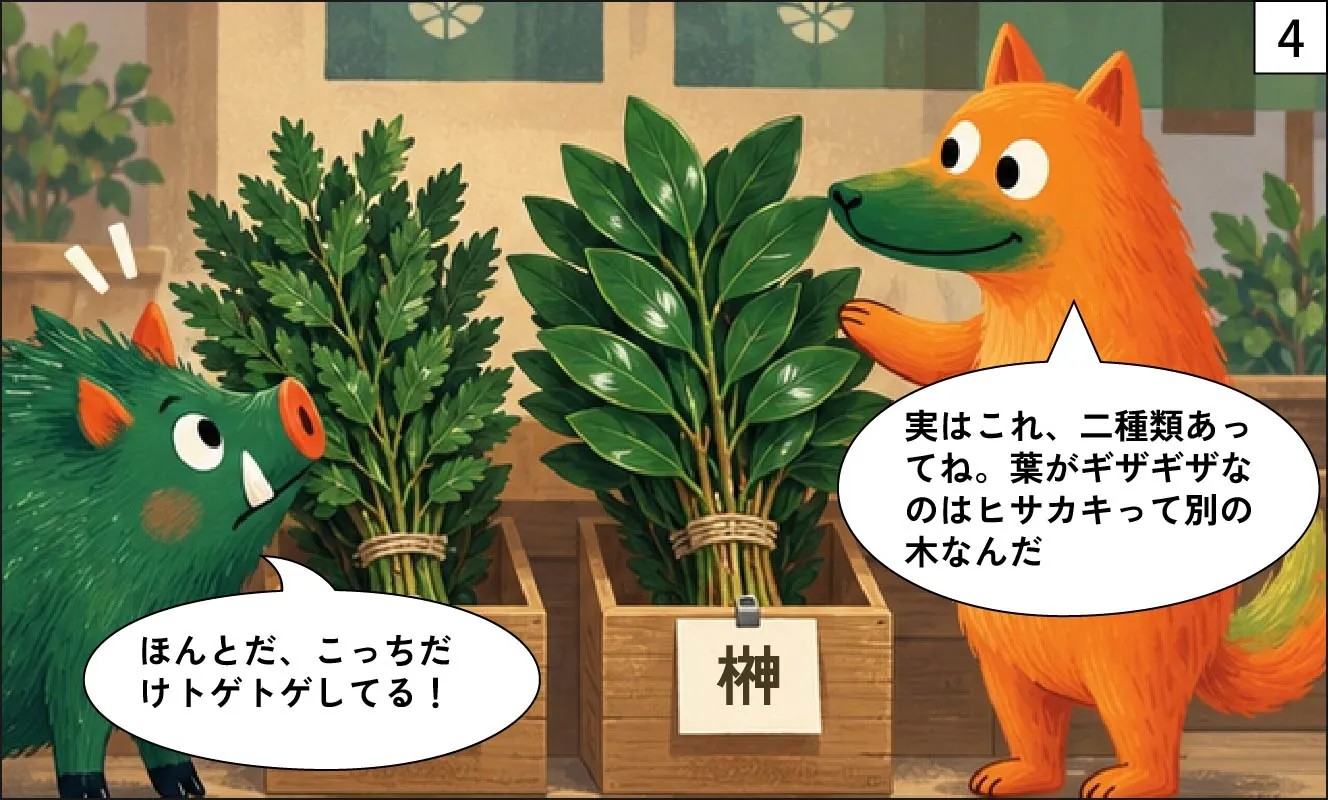 もくめディア|榊の名前の由来-4