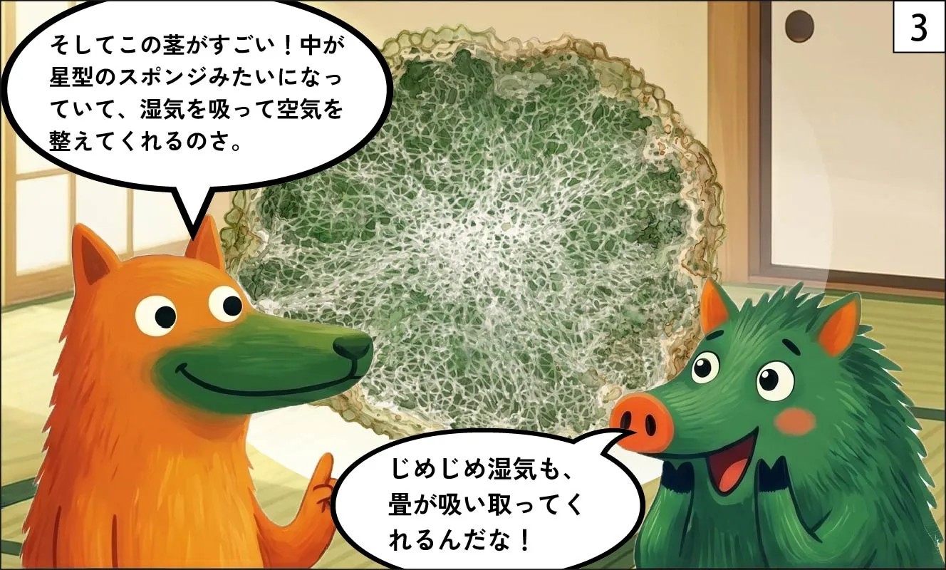 い草 漫画3