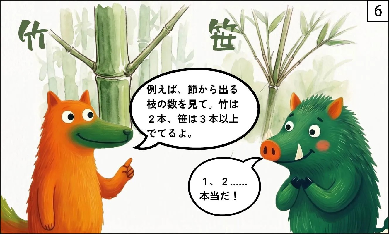 竹と笹のちがい漫画6