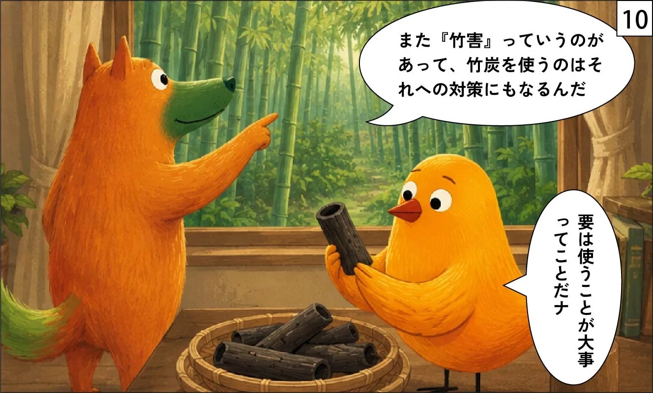 もくめディア|竹炭10