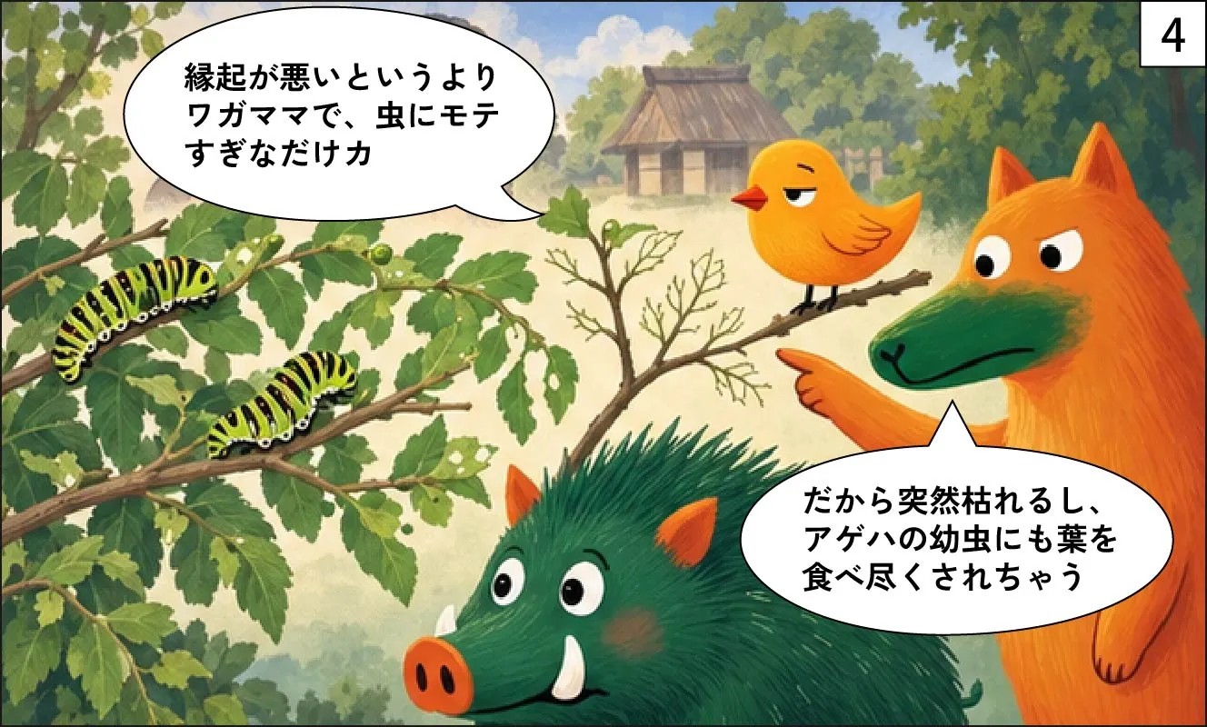 もくめディア|山椒は植えちゃダメ?-4