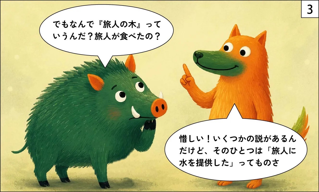 もくめディア｜旅人の木３
