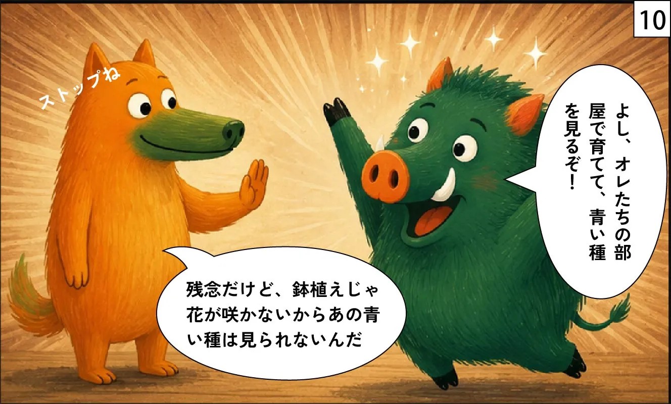 もくめディア｜旅人の木１０