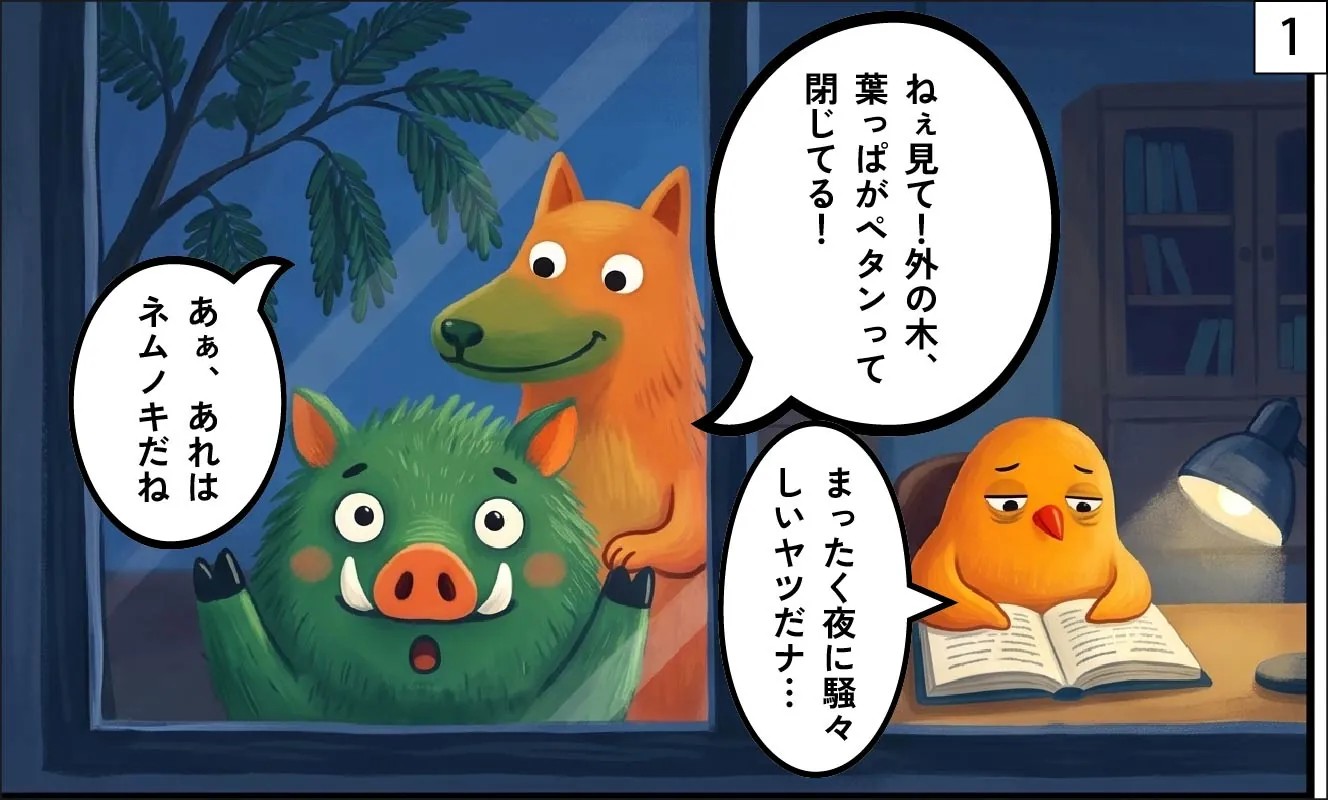 もくめディア|ネムノキ1