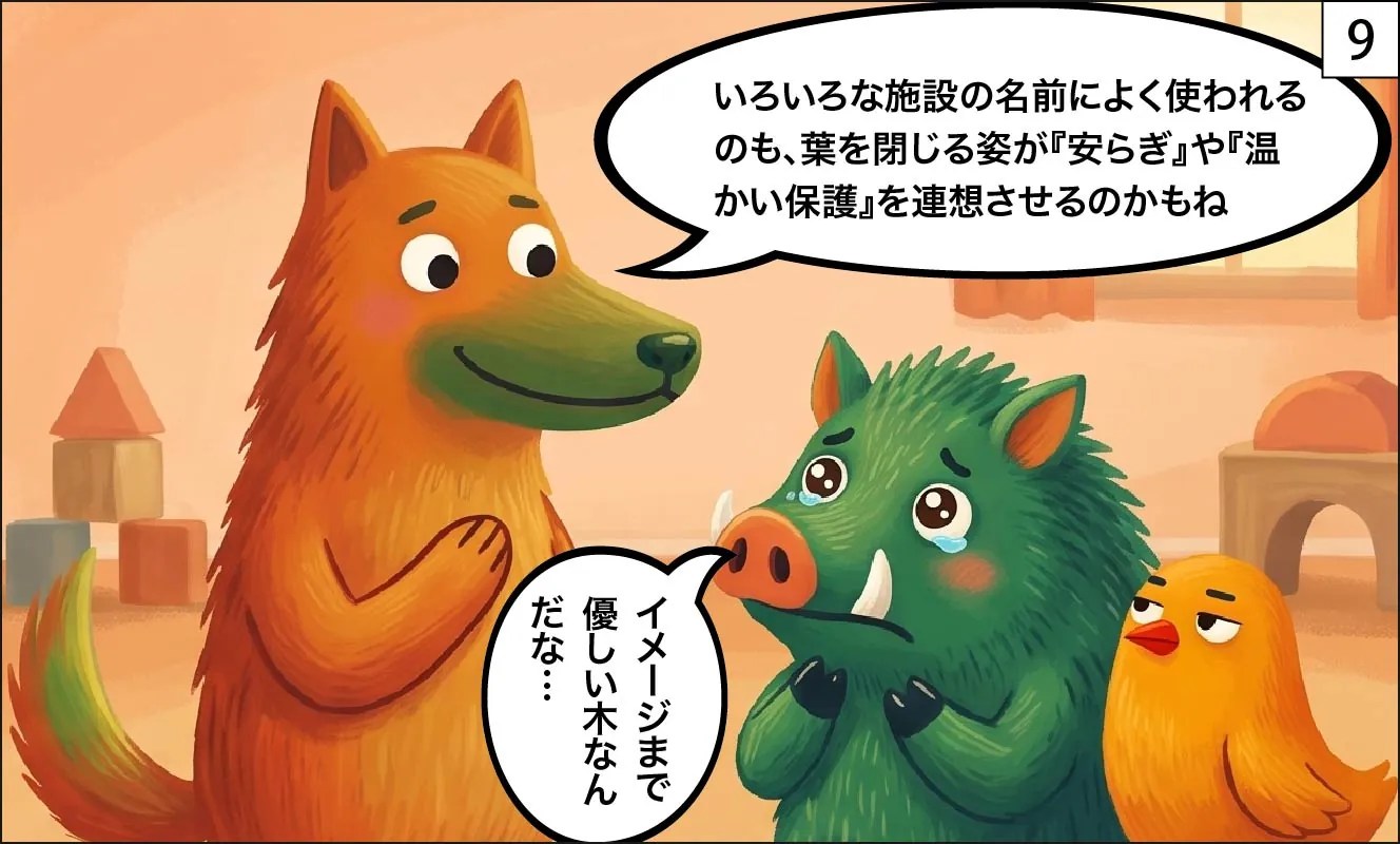 もくめディア|ネムノキ9