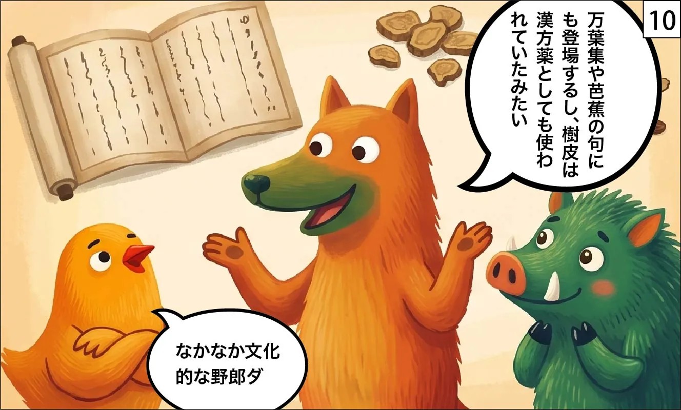 もくめディア|ネムノキ10
