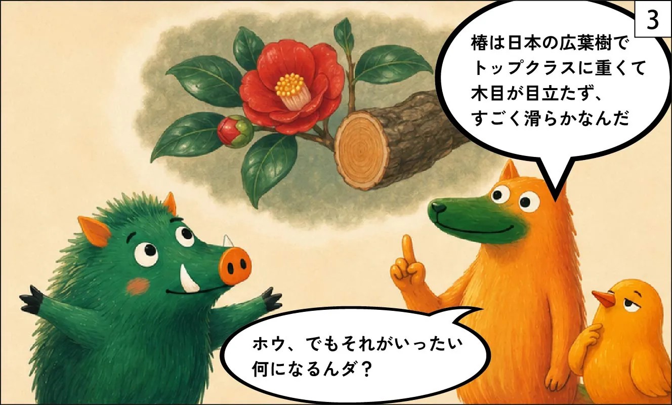 もくめディア|椿の特徴③