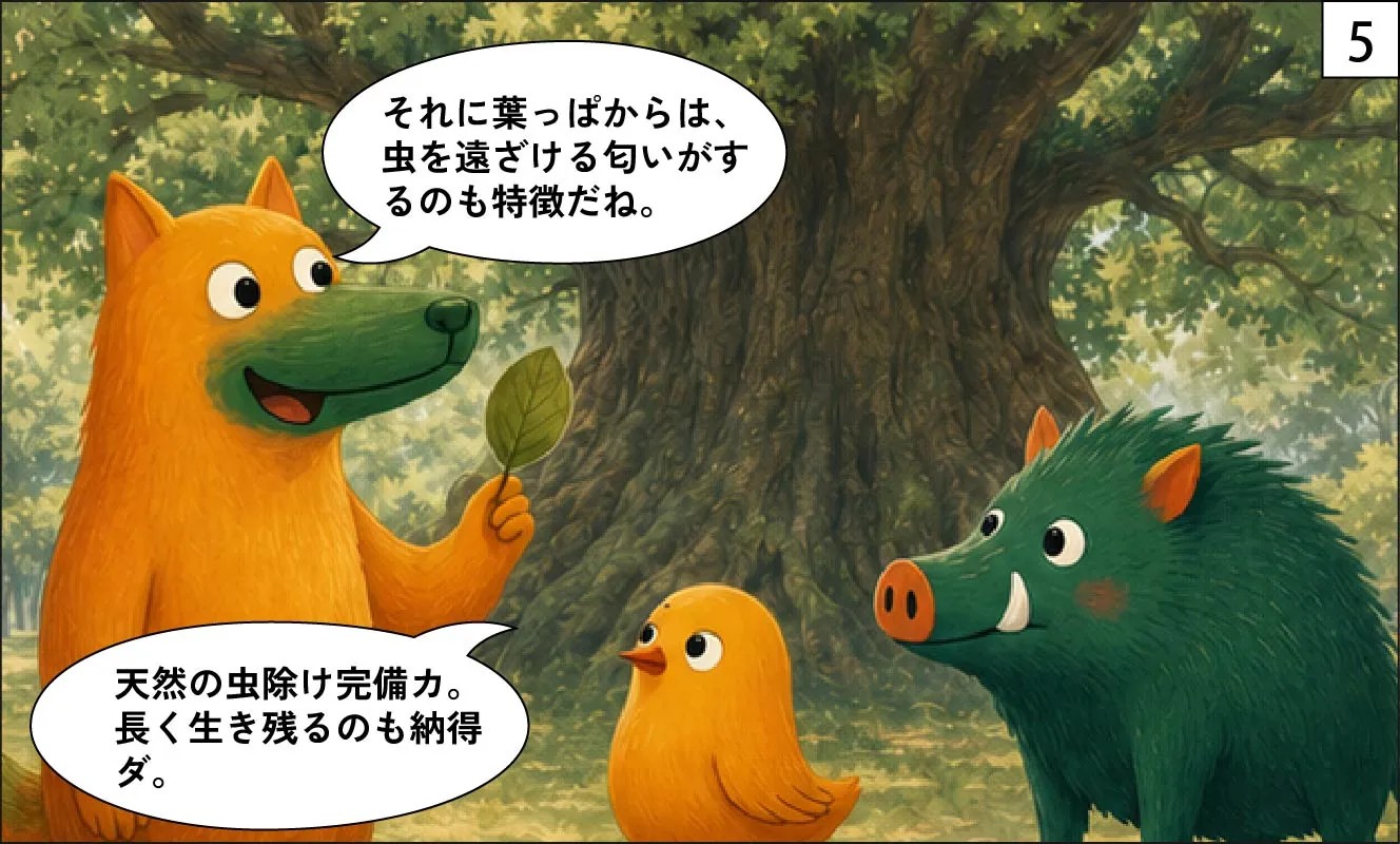 もくメディア|トトロの木5