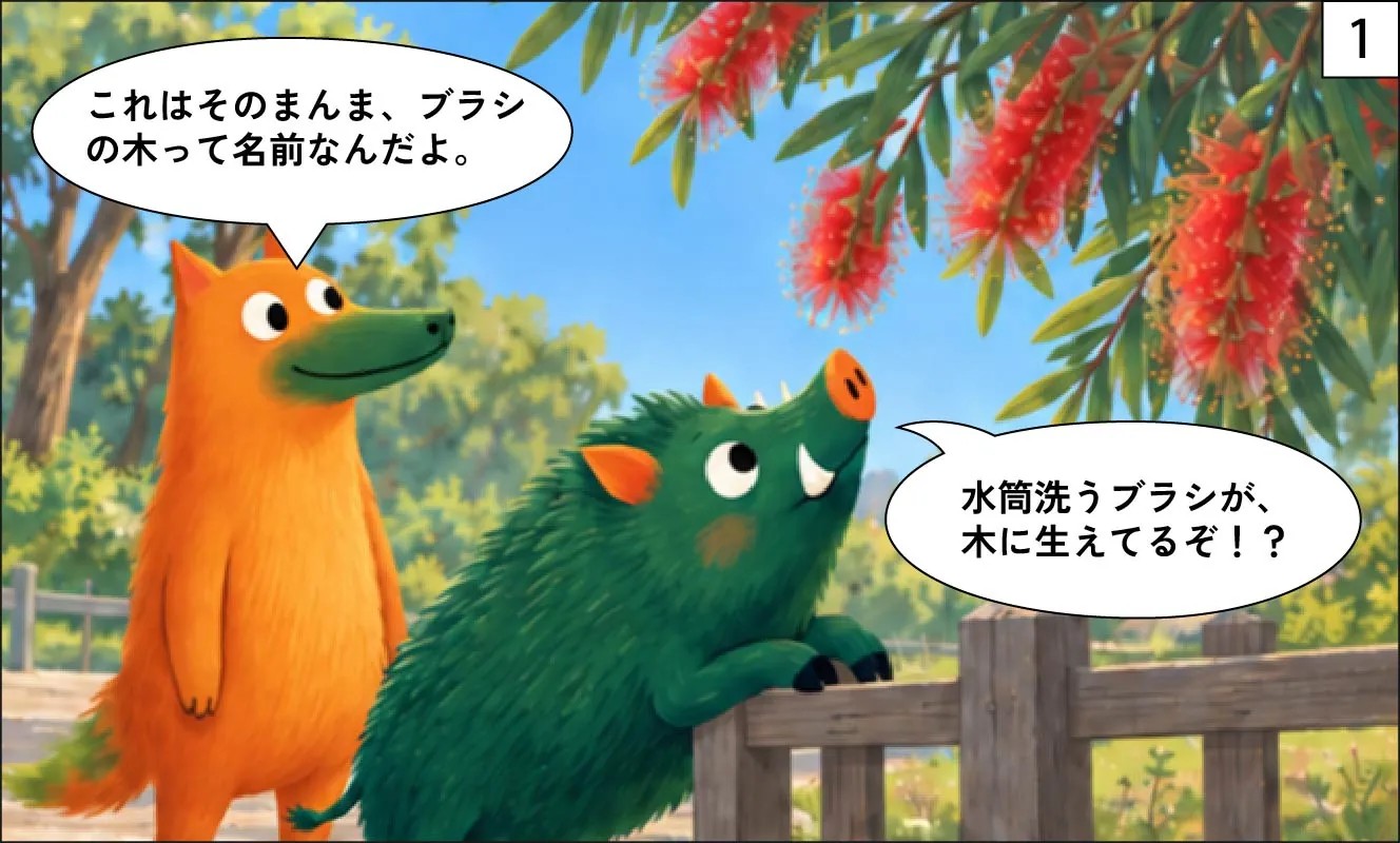 もくめディア|ブラシの木とは?-1