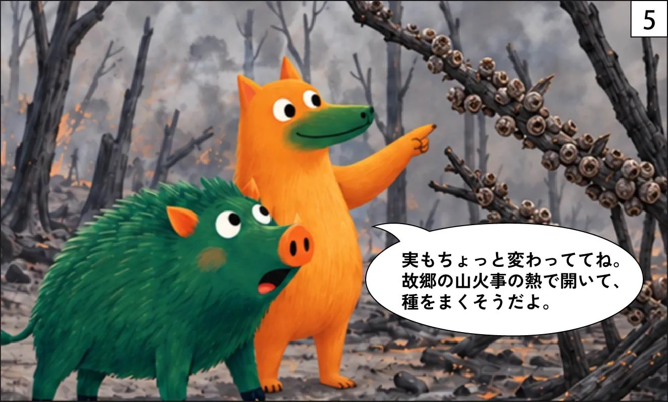 もくめディア|ブラシの木とは?-5