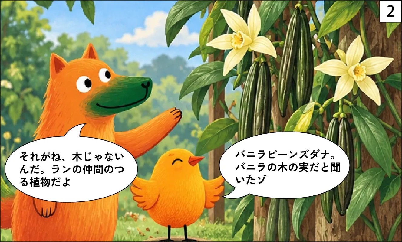 もくめディア|バニラビーンズの木の正体-2