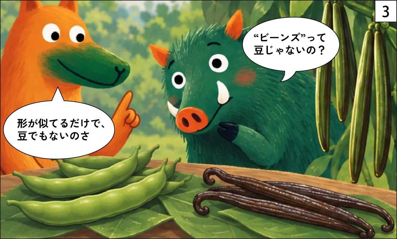 もくめディア|バニラビーンズの木の正体-3