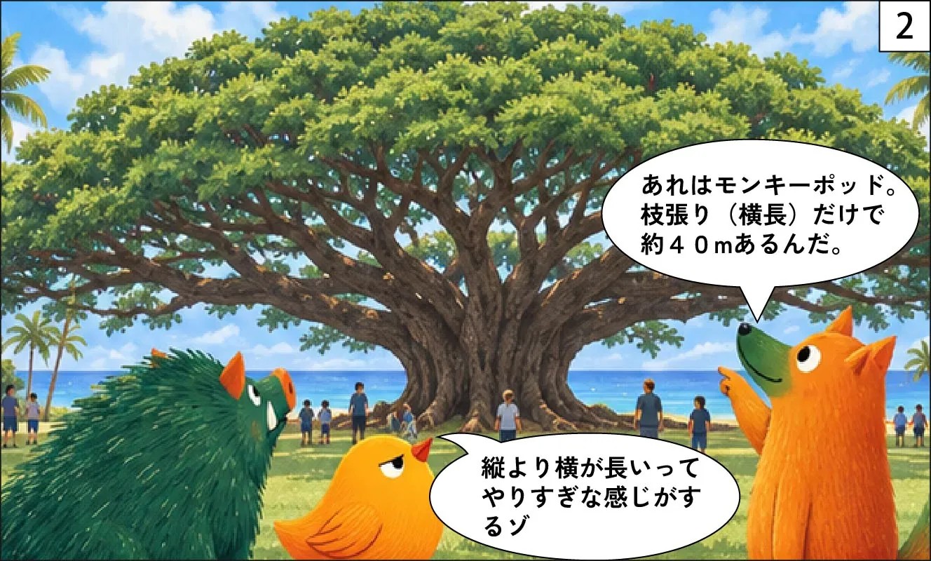 もくめディア|この木なんの木は何の木?-2