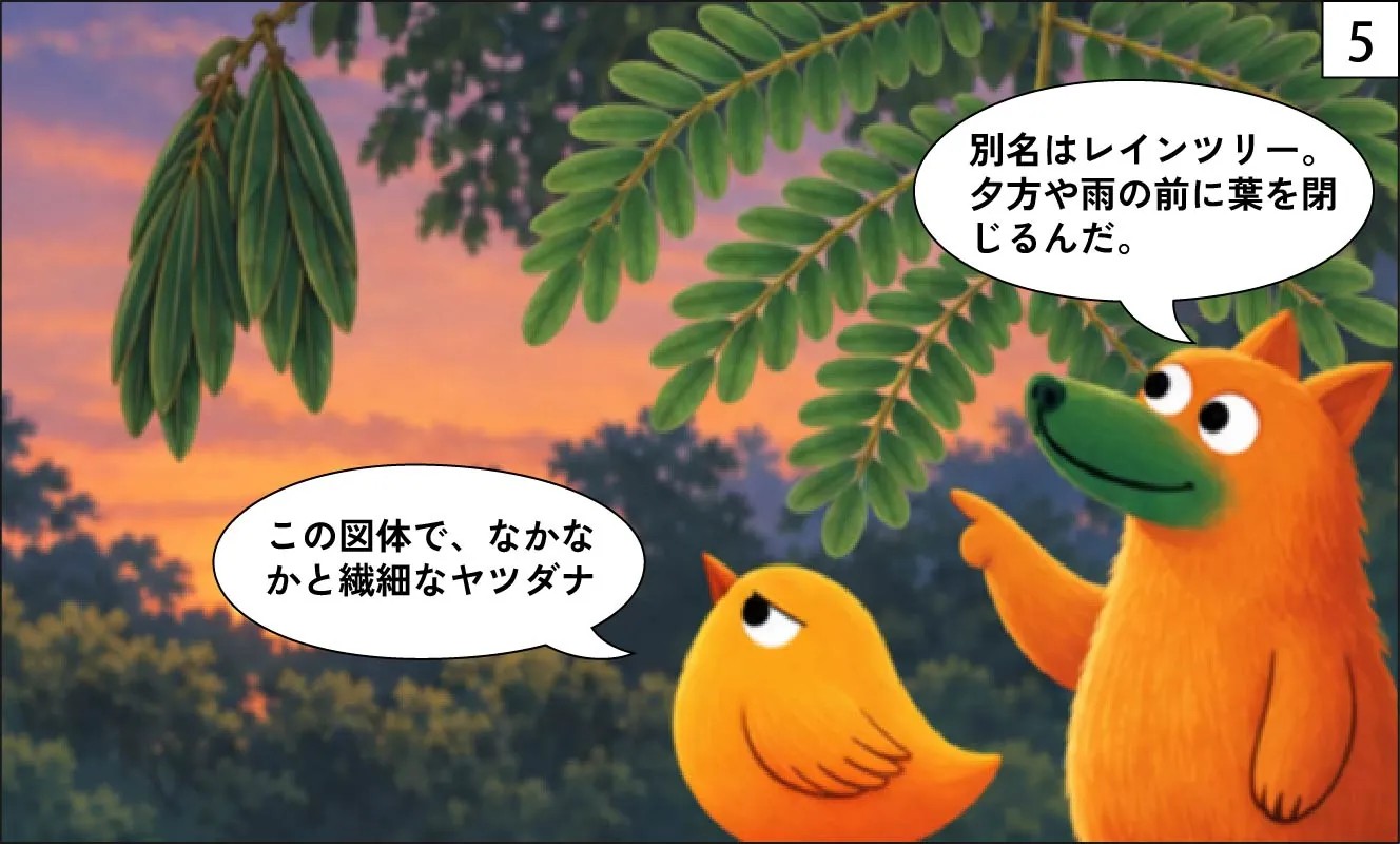 もくめディア|この木なんの木は何の木?-5