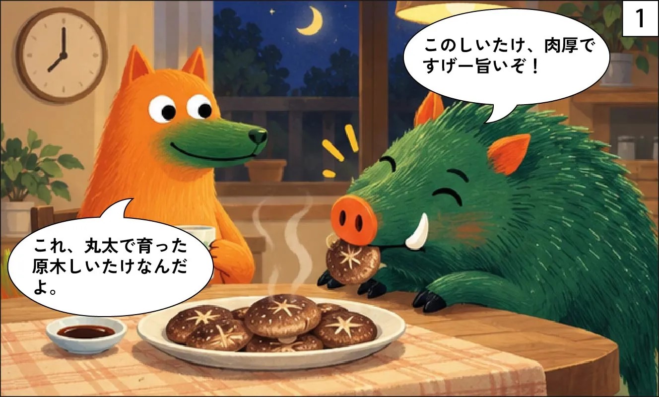 もくめディア|しいたけの原木は何の木?-1