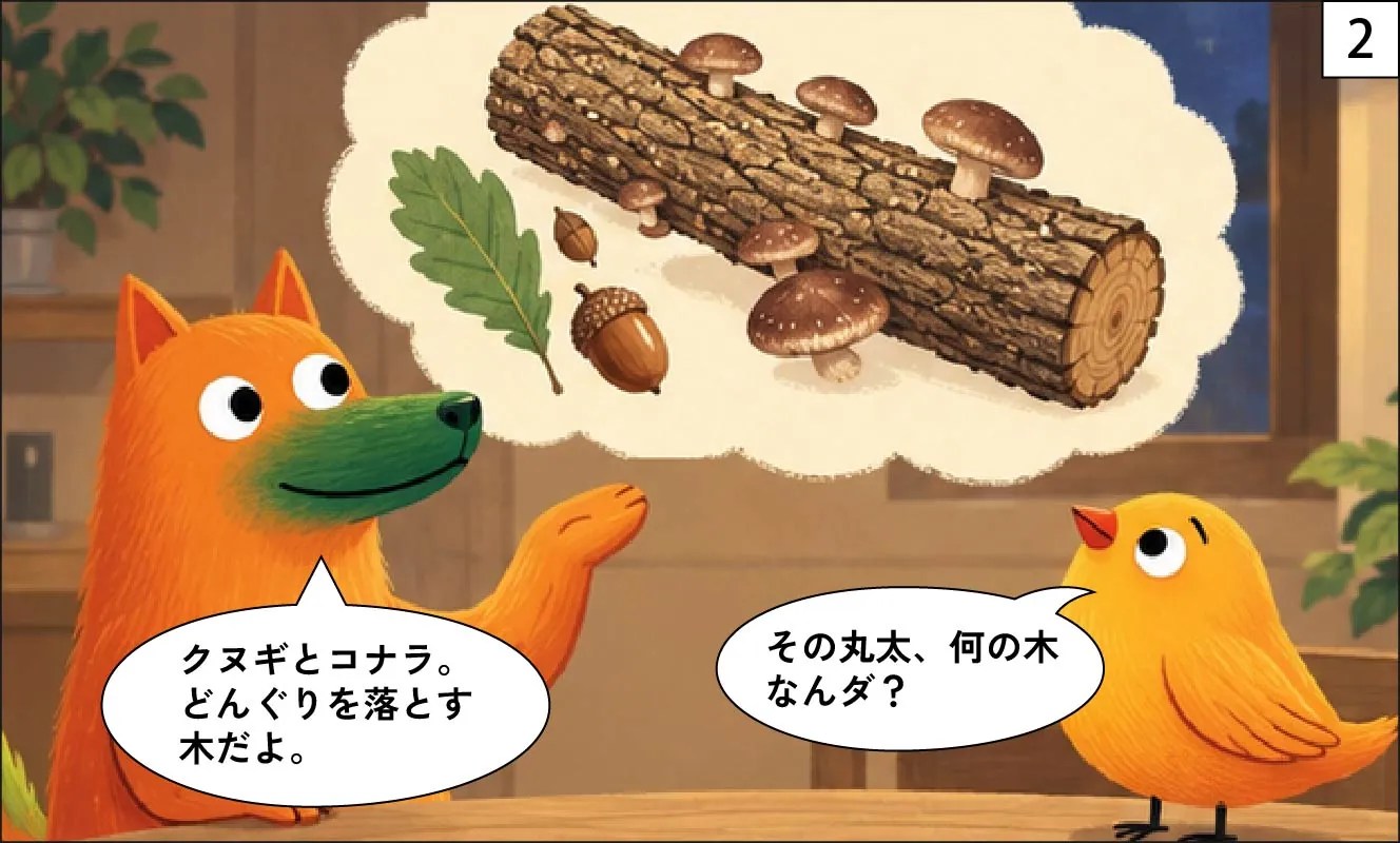 もくめディア|しいたけの原木は何の木?-2