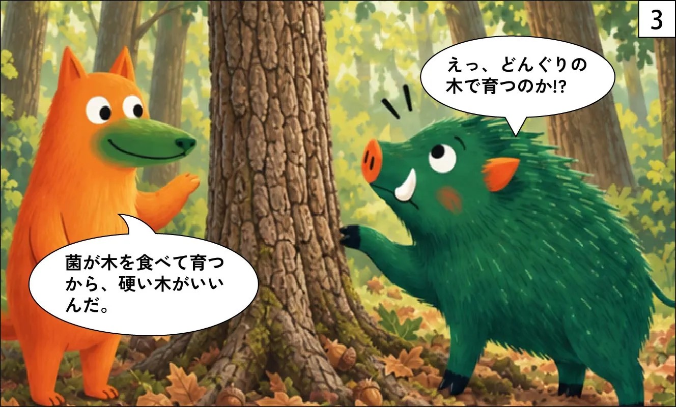 もくめディア|しいたけの原木は何の木?-3
