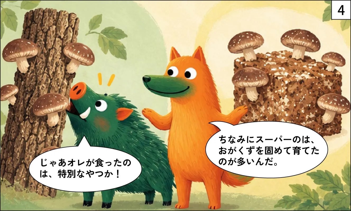 もくめディア|しいたけの原木は何の木?-4