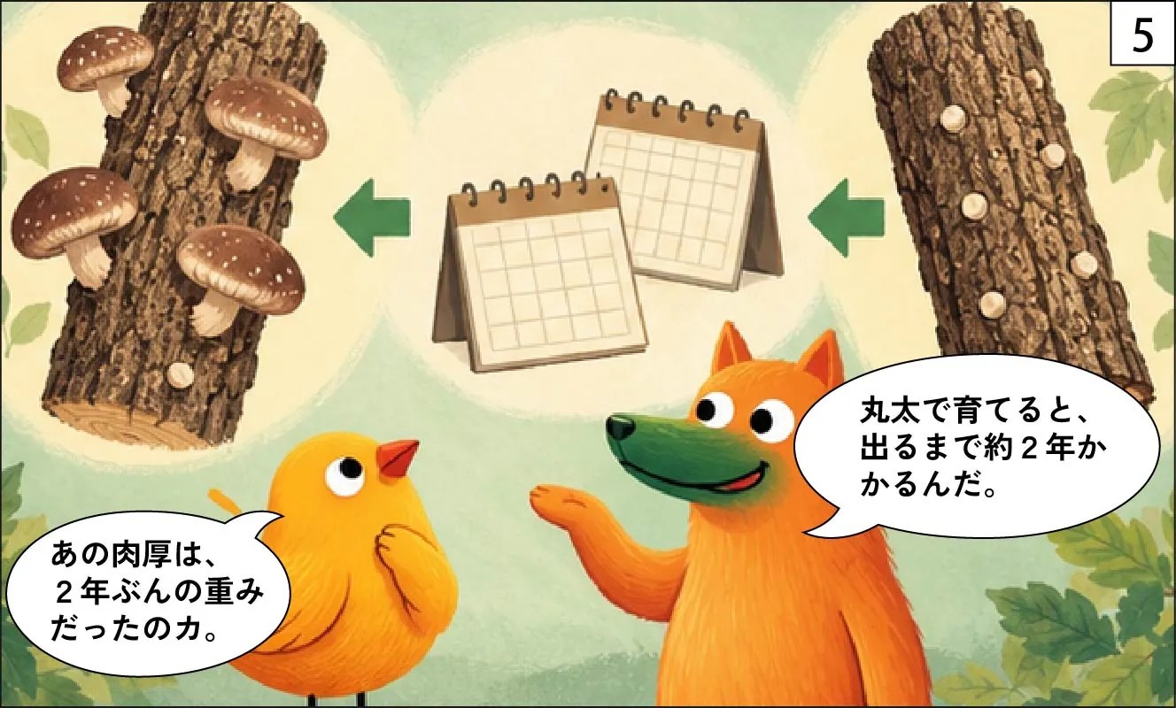 もくめディア|しいたけの原木は何の木?-5
