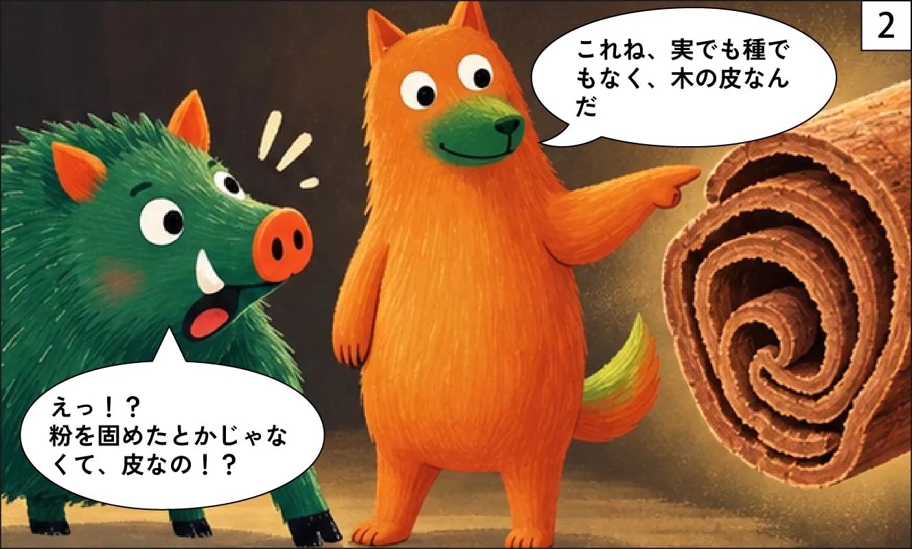 もくめディア|シナモンの木ってどんな木?-2