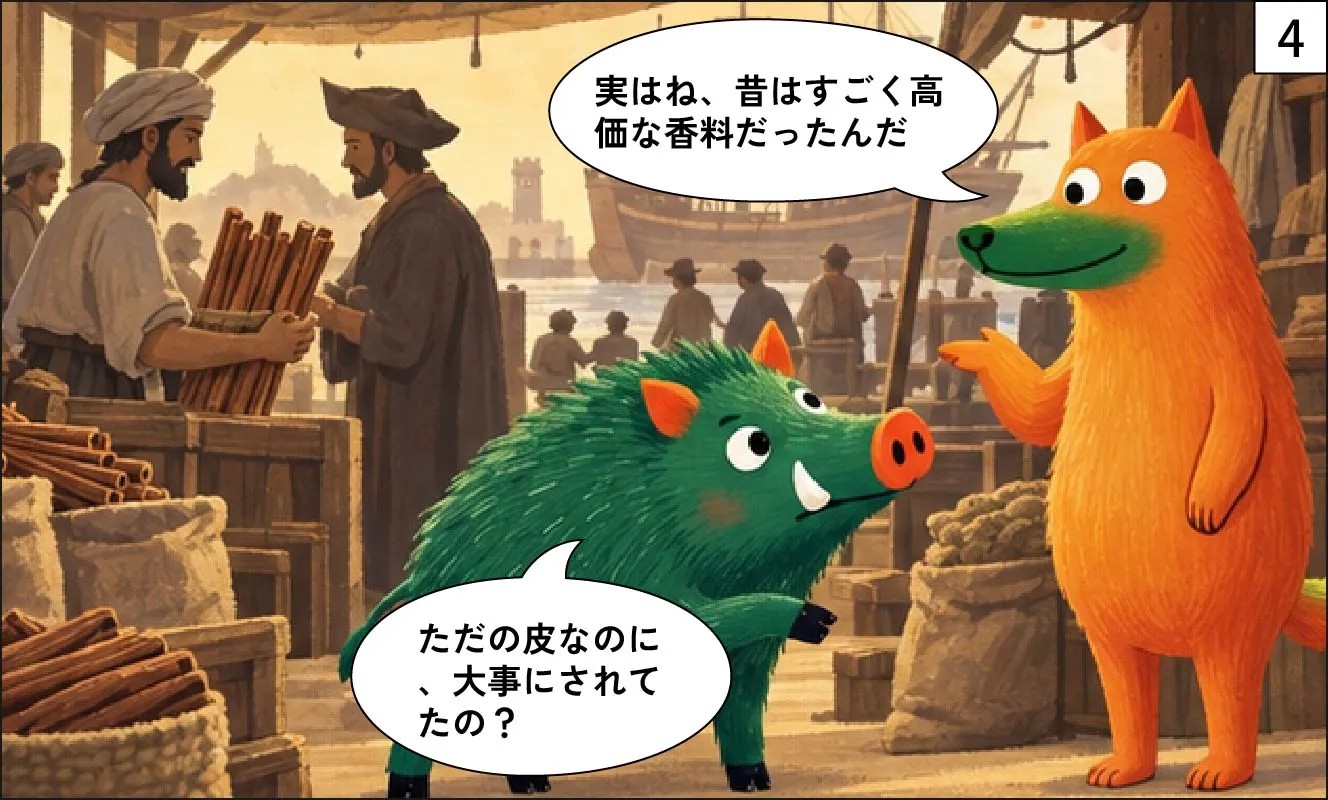 もくめディア|シナモンの木ってどんな木?-4