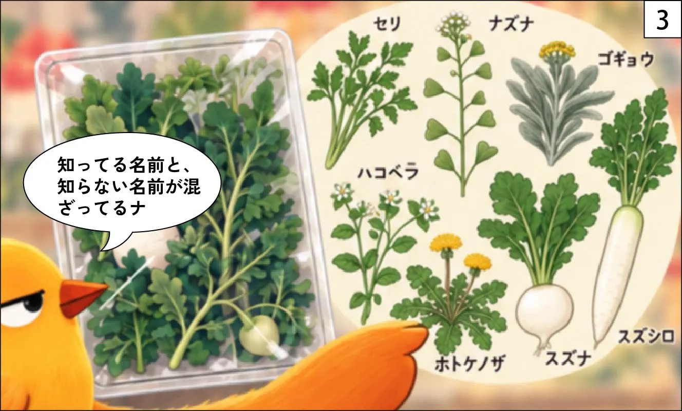 もくめディア|春の七草とは?-3