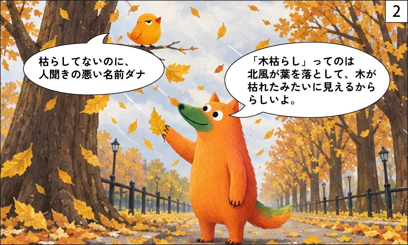 もくめディア｜木枯らし１号とは？-2