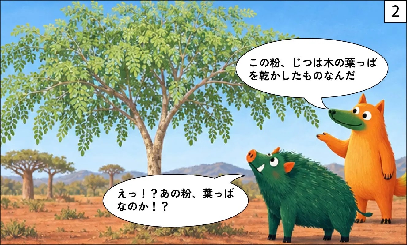 もくめディア|モリンガとは?-2