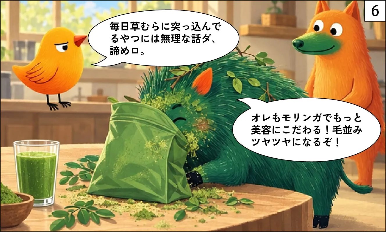 もくめディア|モリンガとは?-6