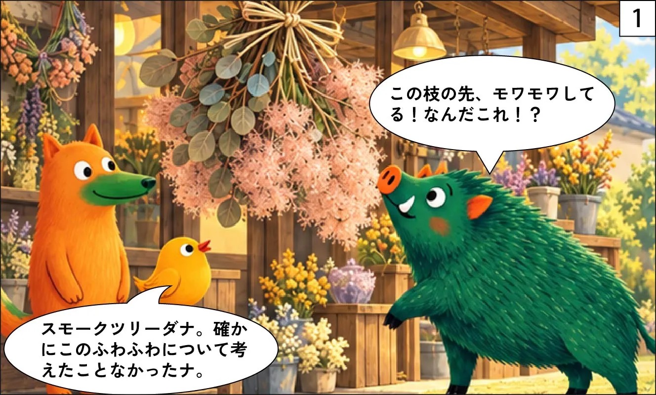 もくめディア|スモークツリー-1