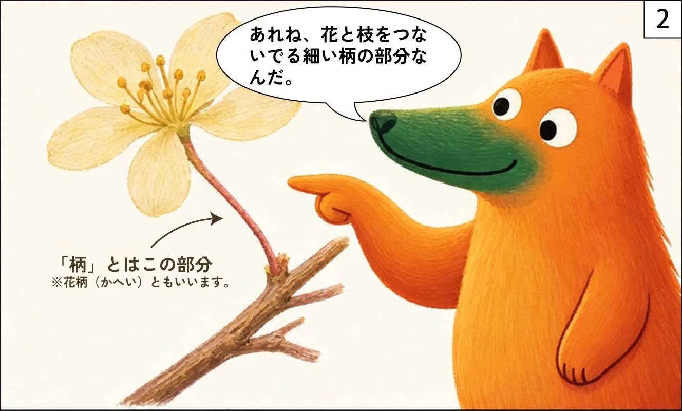 もくめディア|スモークツリー-2